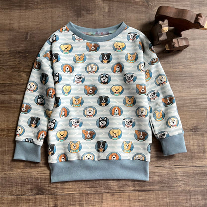 Dinosaurs- Warmer Fabric - Jumper